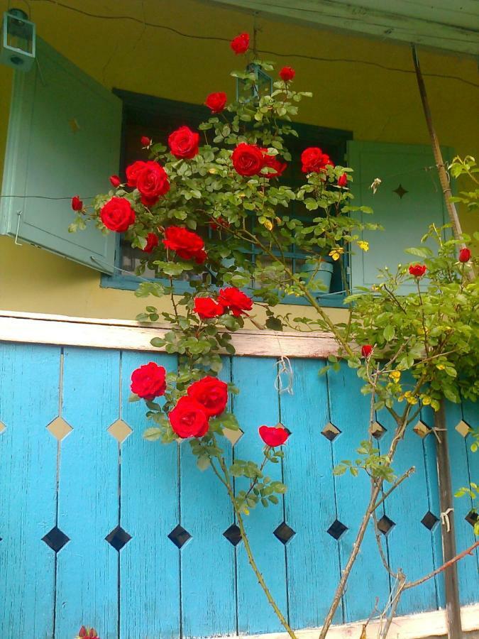 Blue Cottage Podvrh  ภายนอก รูปภาพ