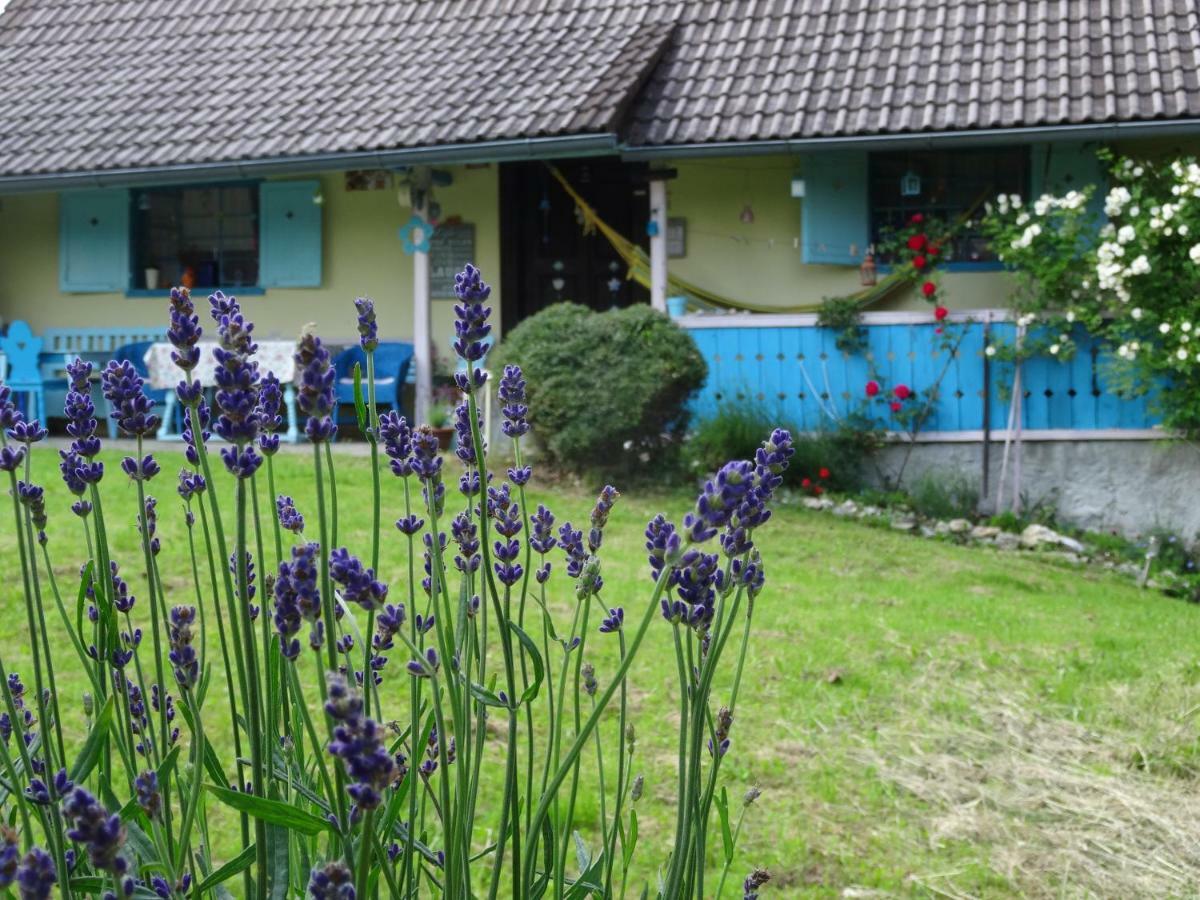 Blue Cottage Podvrh  ภายนอก รูปภาพ